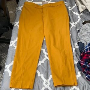 NEW banana republic Sloan fit pants